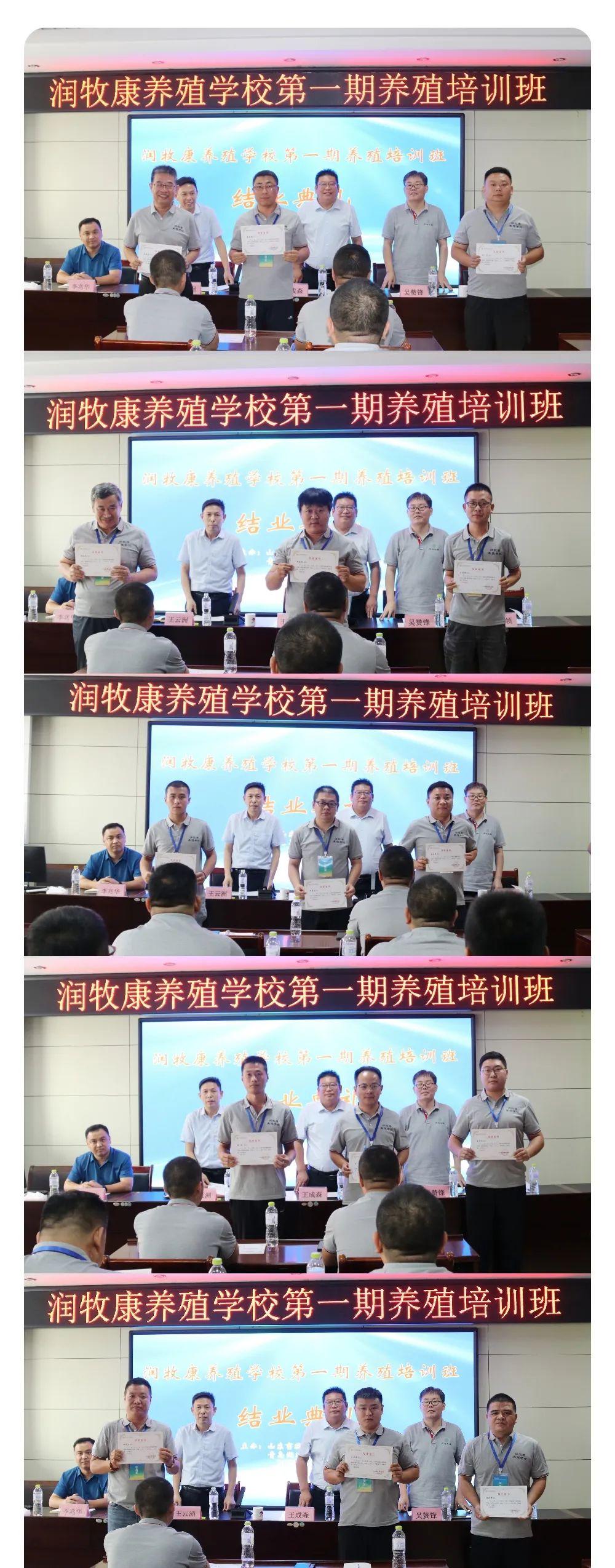 1691572949340835.jpg 1691572949340835.jpg