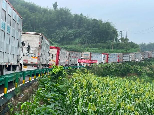 1703573290649488.png 62afe.png