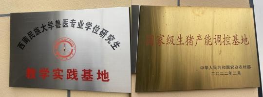 1703573306501440.png ae2.png