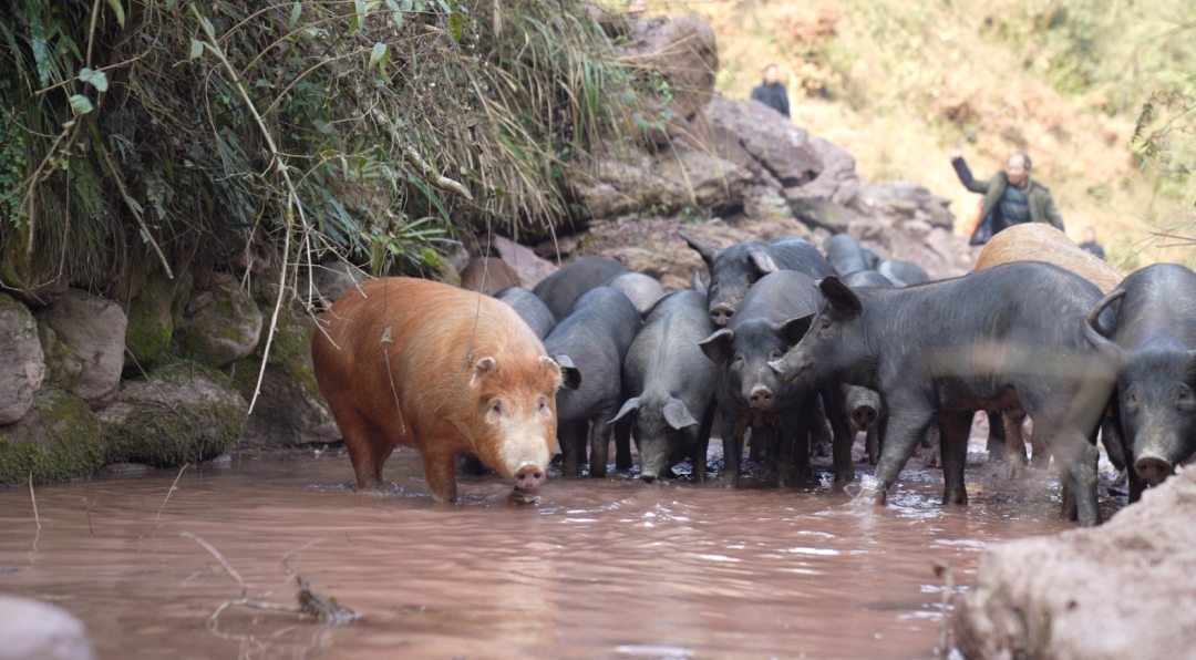 1704355187355195.png 2.png