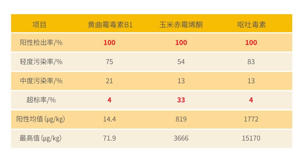 1706755544659237.jpg 1706755544659237.jpg