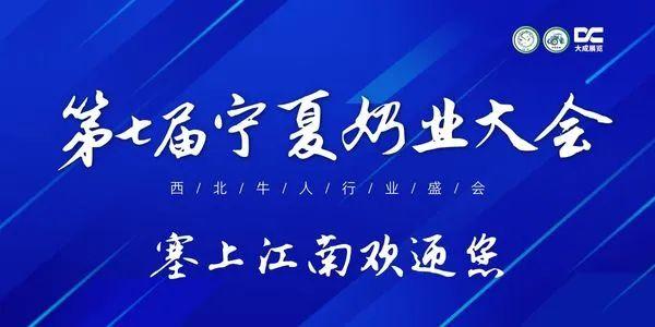 1712743372217257.jpg 937.jpg