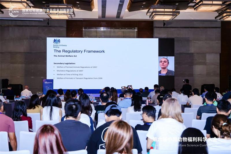 1726190080198992.jpg 142.jpg