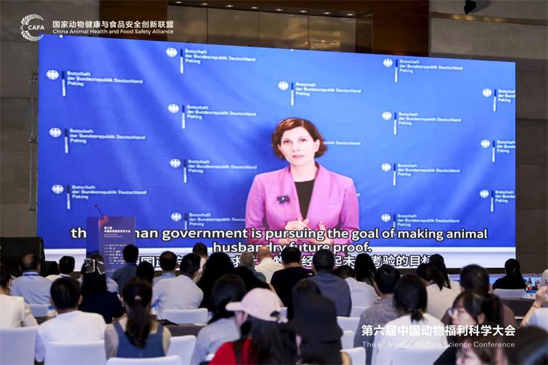 1726190095137476.jpg 140.jpg