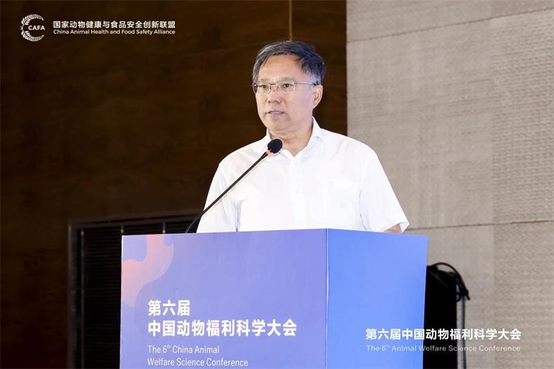 1726190158134842.jpg 137.jpg