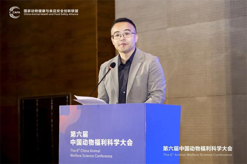 1726190346702505.jpg 129.jpg