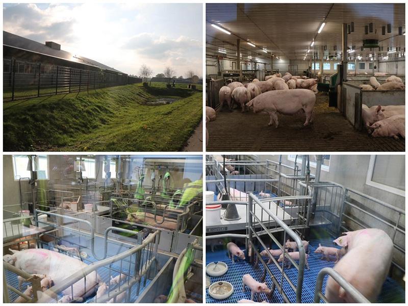 1732245784218636.jpg 61.jpg