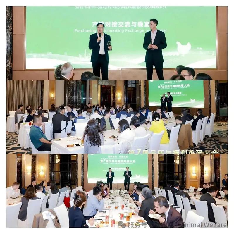 1761276196395119.jpg 145.jpg