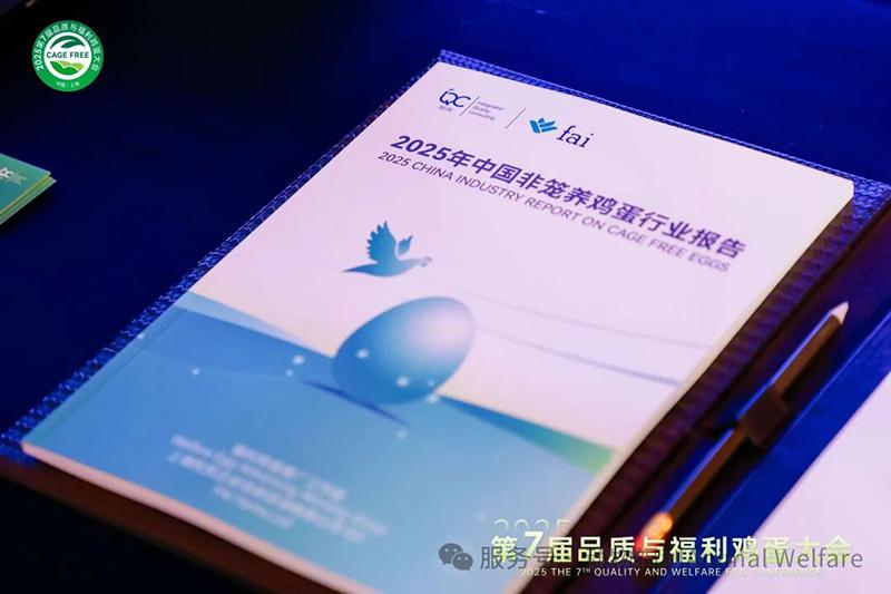 1761277398778864.jpg 74.jpg