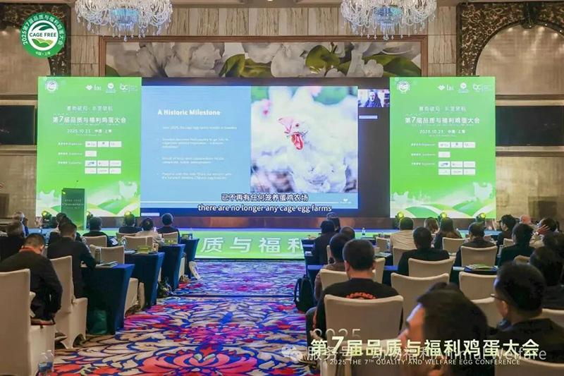 1761278280494966.jpg 90.jpg