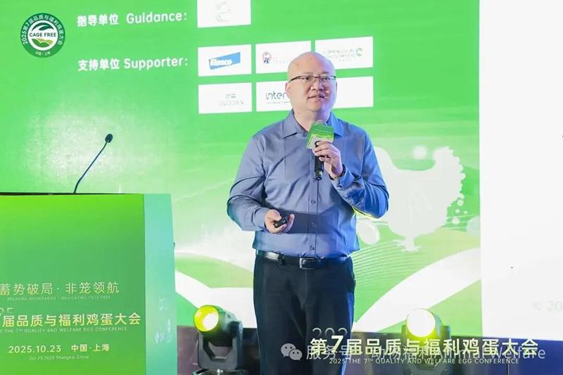 1761278546209243.jpg 91.jpg