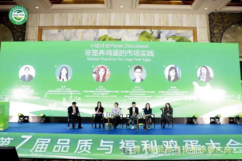 1761278735363195.jpg 92.jpg