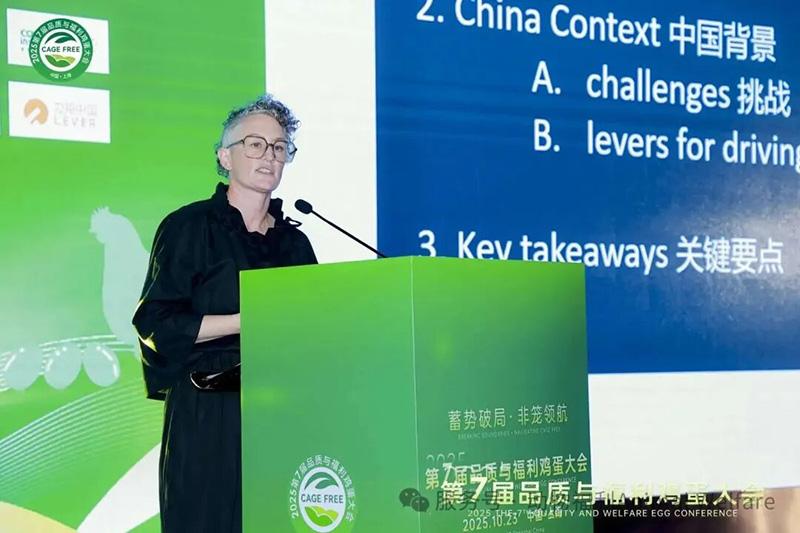 1761279043547748.jpg 113.jpg