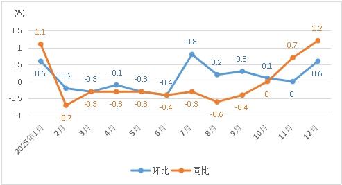 1770621002579992.jpg 2.jpg