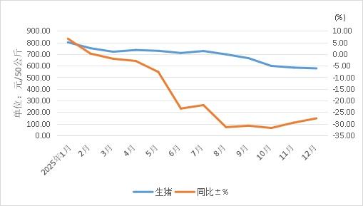 1770621043794336.jpg 5.jpg